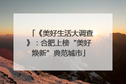 《美好生活大调查》：合肥上榜“美好焕新”典范城市