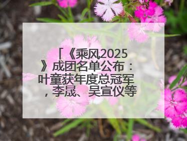 《乘风2025》成团名单公布：叶童获年度总冠军，李晟、吴宣仪等10位姐姐成功成团，陈德容获年度高光人物