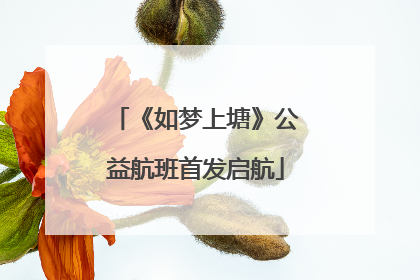 《如梦上塘》公益航班首发启航
