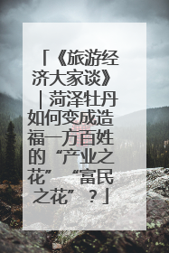《旅游经济大家谈》｜菏泽牡丹如何变成造福一方百姓的“产业之花”“富民之花”？