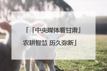「中央媒体看甘肃」农耕智慧 历久弥新