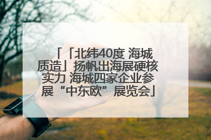 「北纬40度 海城质造」扬帆出海展硬核实力 海城四家企业参展“中东欧”展览会