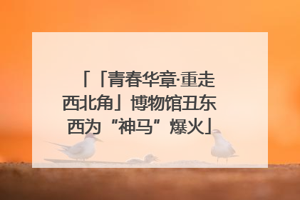 「青春华章·重走西北角」博物馆丑东西为“神马”爆火