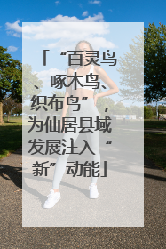 “百灵鸟、啄木鸟、织布鸟”，为仙居县域发展注入“新”动能