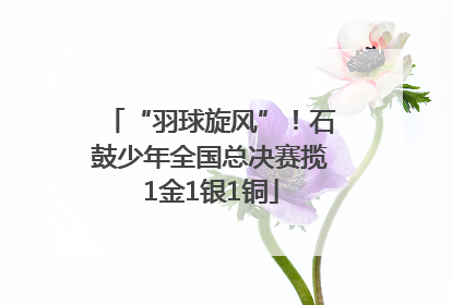 “羽球旋风”！石鼓少年全国总决赛揽1金1银1铜