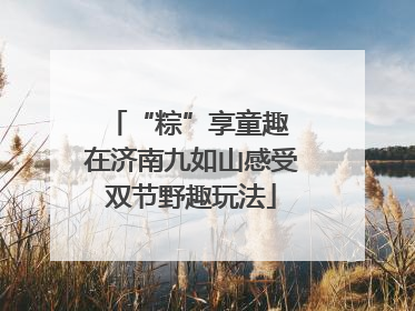 “粽”享童趣 在济南九如山感受双节野趣玩法