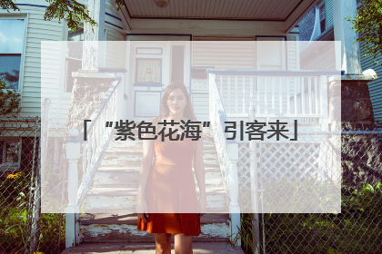 “紫色花海”引客来