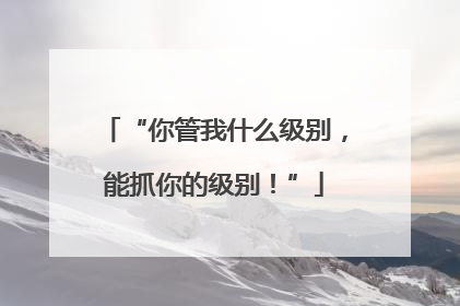 “你管我什么级别，能抓你的级别！”