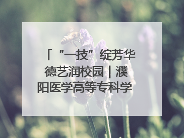 “一技”绽芳华 德艺润校园｜濮阳医学高等专科学校开展丰富多彩的职业教育活动周主题活动