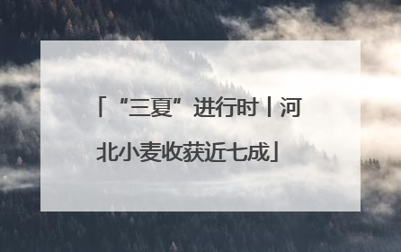 “三夏”进行时丨河北小麦收获近七成