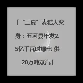 “三夏”麦秸大变身：五河县年发2.5亿千瓦时绿电 供20万吨蒸汽