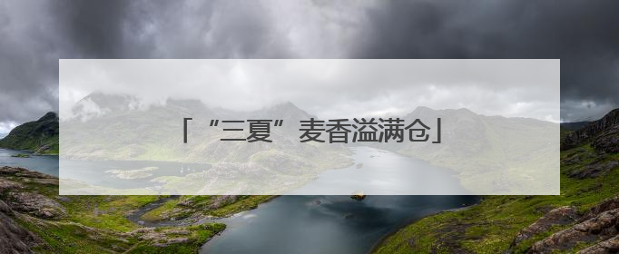 “三夏”麦香溢满仓