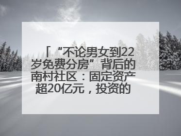 “不论男女到22岁免费分房”背后的南村社区：固定资产超20亿元，投资的影视基地被称为“山村好莱坞”