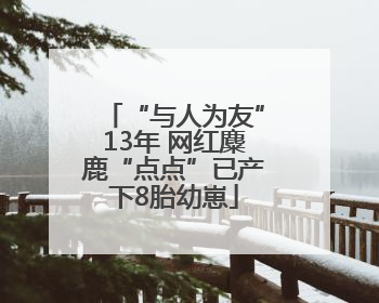 “与人为友”13年 网红麋鹿“点点”已产下8胎幼崽
