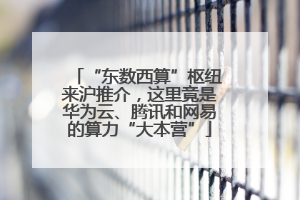 “东数西算”枢纽来沪推介，这里竟是华为云、腾讯和网易的算力“大本营”