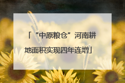 “中原粮仓”河南耕地面积实现四年连增