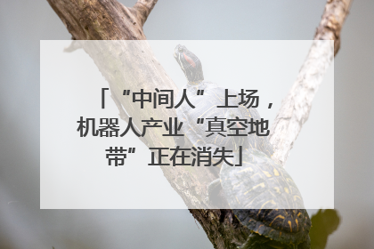 “中间人”上场，机器人产业“真空地带”正在消失