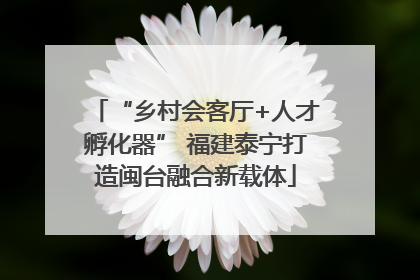 “乡村会客厅+人才孵化器” 福建泰宁打造闽台融合新载体