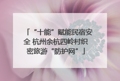 “十能”赋能民宿安全 杭州余杭四岭村织密旅游“防护网”