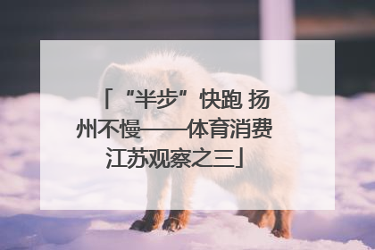 “半步”快跑 扬州不慢——体育消费江苏观察之三