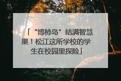 “博柿岛”结满智慧果！松江这所学校的学生在校园里探险