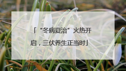 “冬病夏治”火热开启，三伏养生正当时