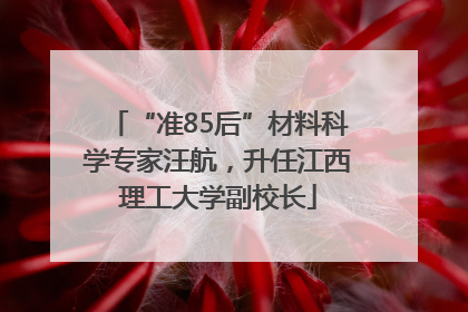 “准85后”材料科学专家汪航，升任江西理工大学副校长