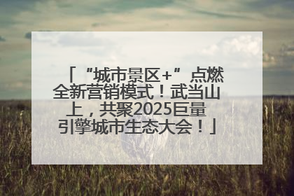 “城市景区+”点燃全新营销模式！武当山上，共聚2025巨量引擎城市生态大会！