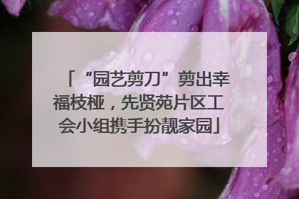 “园艺剪刀”剪出幸福枝桠，先贤苑片区工会小组携手扮靓家园