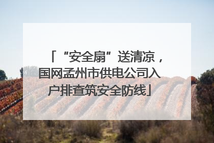 “安全扇”送清凉，国网孟州市供电公司入户排查筑安全防线