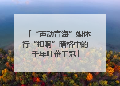 “声动青海”媒体行“扣响”暗格中的千年吐蕃王冠