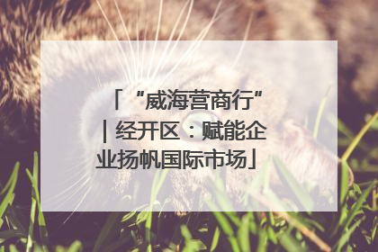 “威海营商行”｜经开区：赋能企业扬帆国际市场
