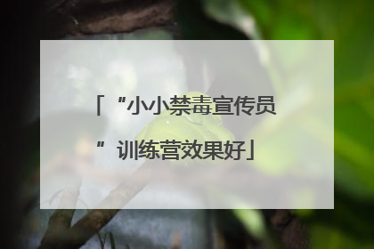 “小小禁毒宣传员”训练营效果好