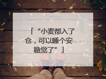 “小麦都入了仓，可以睡个安稳觉了”