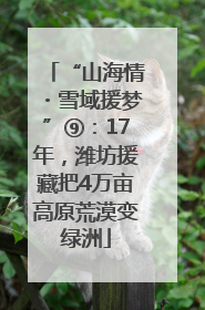 “山海情・雪域援梦”⑨：17年，潍坊援藏把4万亩高原荒漠变绿洲