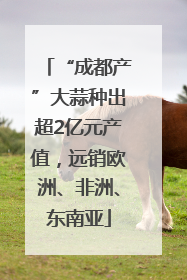 “成都产”大蒜种出超2亿元产值，远销欧洲、非洲、东南亚