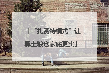 “扎赉特模式”让黑土粮仓家底更实