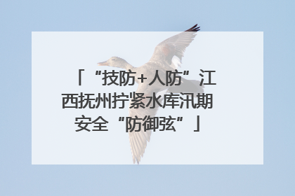 “技防+人防”江西抚州拧紧水库汛期安全“防御弦”