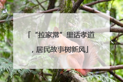 “拉家常”里话孝道，居民故事树新风