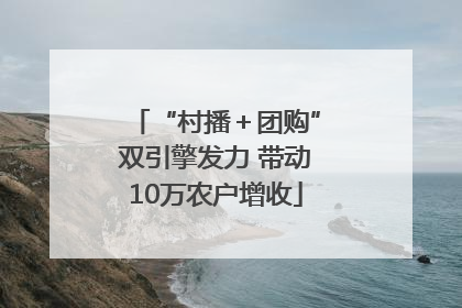 “村播＋团购”双引擎发力 带动10万农户增收