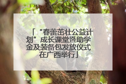 “春蕾茁壮公益计划”成长课堂暨助学金及装备包发放仪式在广西举行