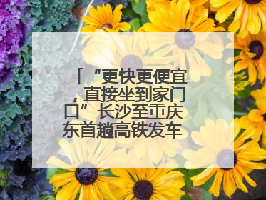 “更快更便宜，直接坐到家门口”长沙至重庆东首趟高铁发车，重庆人狂喜：退了票也要坐
