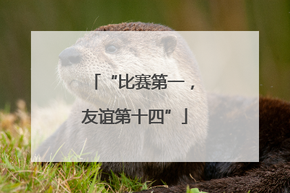 “比赛第一，友谊第十四”