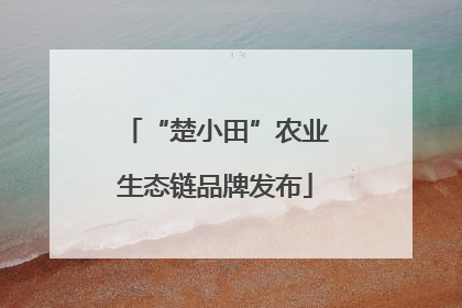 “楚小田”农业生态链品牌发布