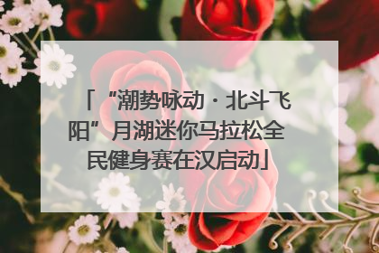 “潮势咏动・北斗飞阳”月湖迷你马拉松全民健身赛在汉启动