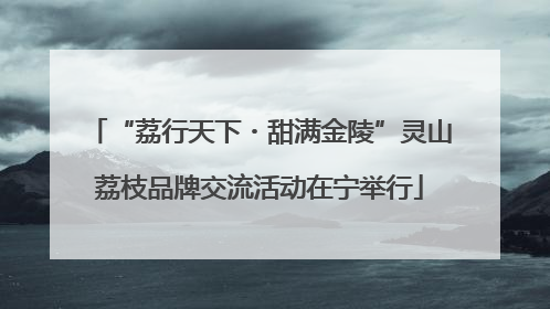 “荔行天下・甜满金陵”灵山荔枝品牌交流活动在宁举行