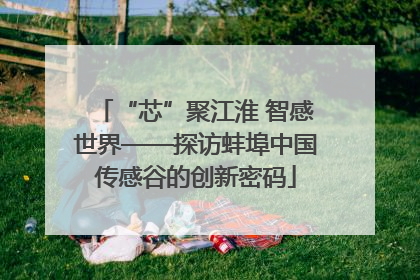 “芯”聚江淮 智感世界——探访蚌埠中国传感谷的创新密码