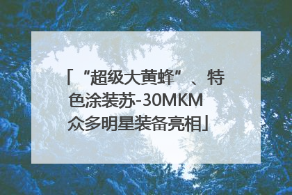 “超级大黄蜂”、特色涂装苏-30MKM 众多明星装备亮相
