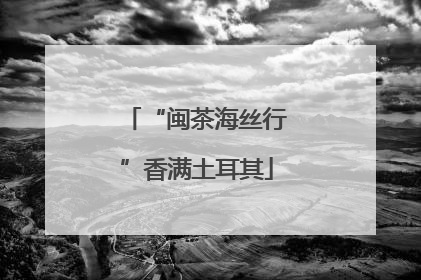 “闽茶海丝行”香满土耳其