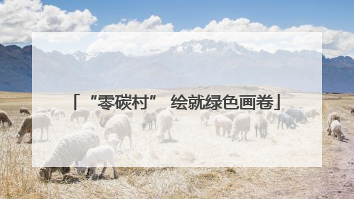 “零碳村” 绘就绿色画卷